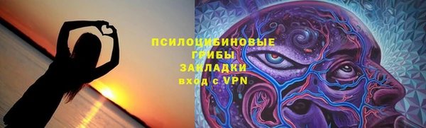 стаф Абинск