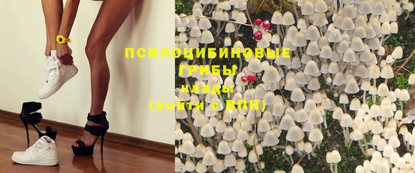 прущая мука Алексин