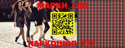 стаф Гай