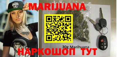 стаф Гай