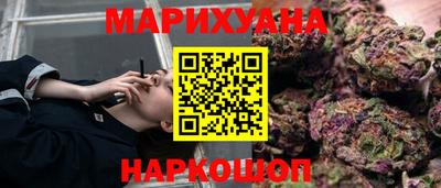 стаф Гай