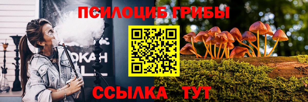 Псилоцибиновые грибы GOLDEN TEACHER Костомукша
