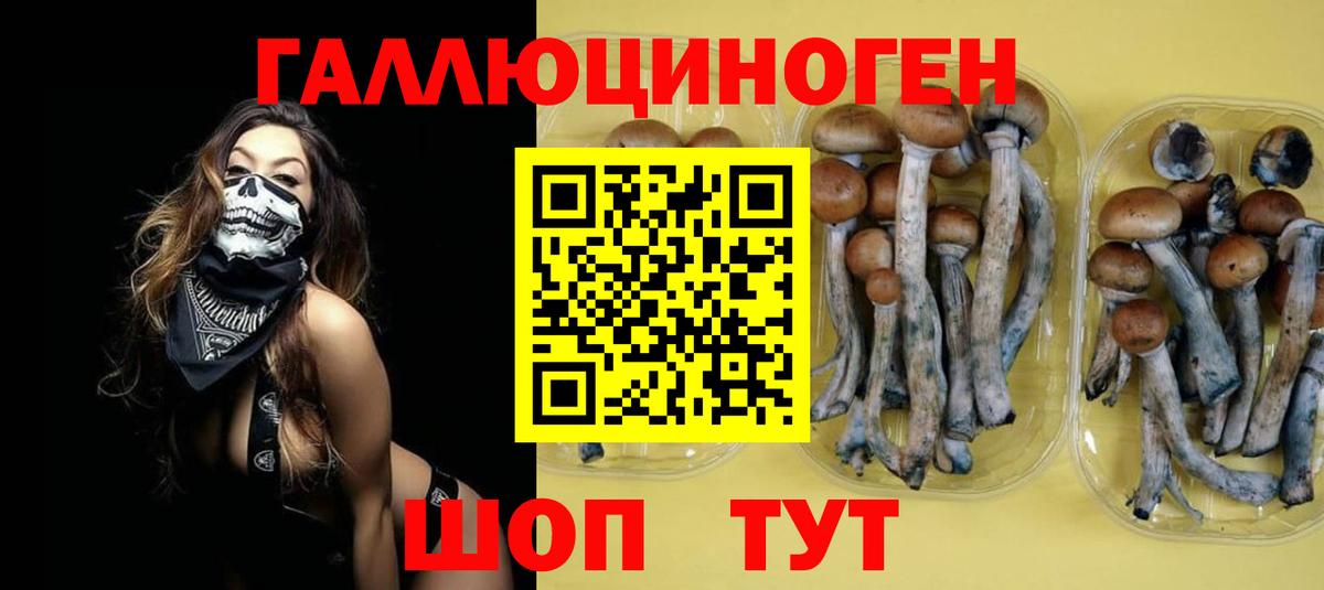 Псилоцибиновые грибы GOLDEN TEACHER  Вход с VPN  Костомукша 